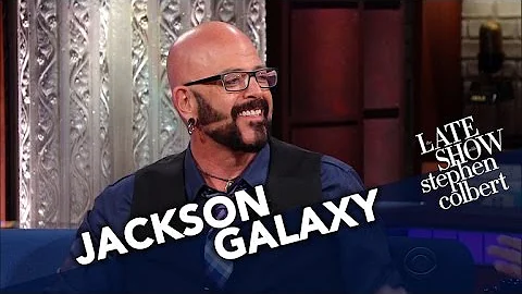 Cat Behaviorist Jackson Galaxy Converts Stephen In...