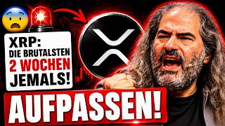 🤯🔴XRP: DIE WICHTIGSTEN 2 WOCHEN JEMALS!