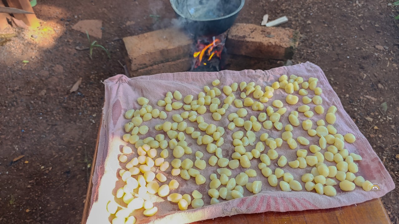 La masa mágica para la pesca de boga en Misiones!! CON PESCA...