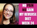 No Pain More Gain? Reverse Diet Update Week 24 Workouts and Weigh-ins. #weightlossjourney
