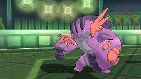 Water vs. Bug - Week #9 - Battle #6 - Monotype Masters