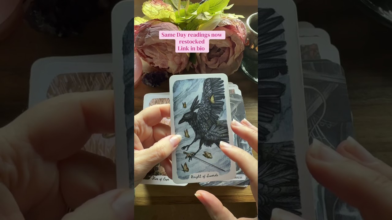 Your energy? Knight of Swords. You’re ready to move. Fast.