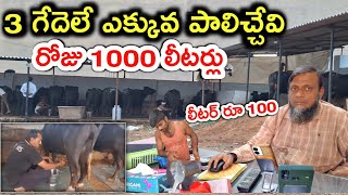 ఒక్కసారి వస్తే తిరిగి వెళ్లరు royal dairy farm @MalleshAdla