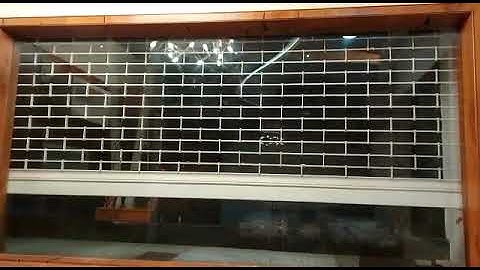 Motorised rolling shutter with remote.
