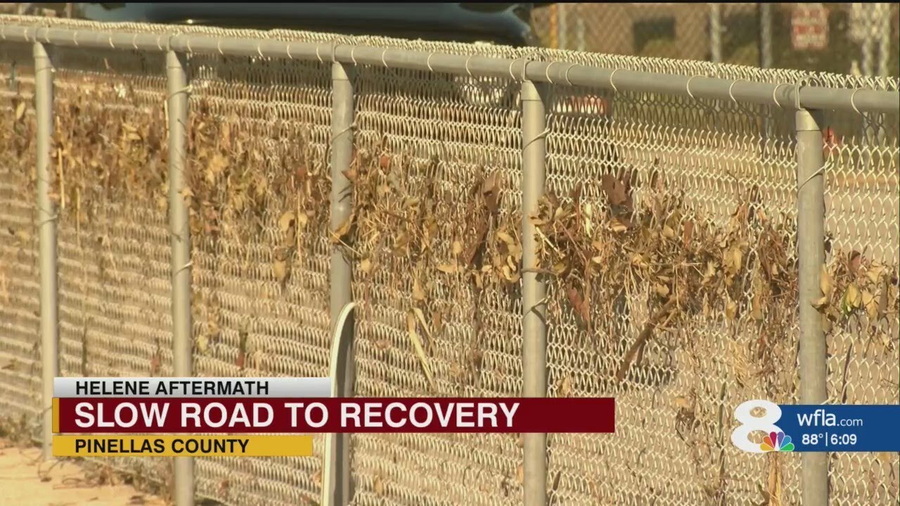 Pinellas County Schools to relocate 2,000 students due to storm damage