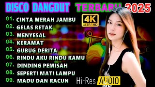 DISCO DANGDUT TERBARU (Cinta Merah Jambu - Gelas Retak - Menyesal Keramat)