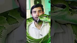 Meet The Deadliest Animal on Earth 💀