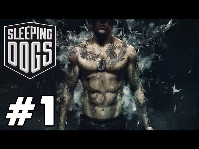 Jogo Sleeping Dogs - PS3 - MeuGameUsado