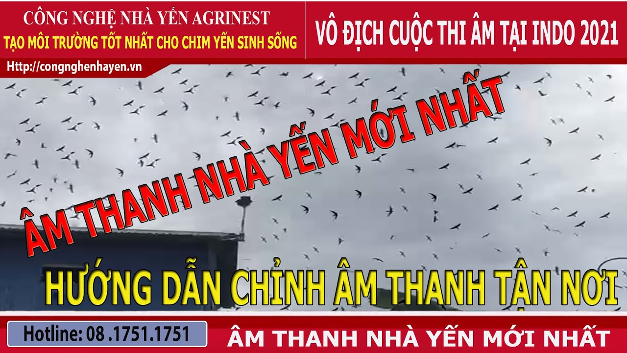 âm thanh nhà yến mới nhất - youtube