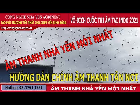 Video âm thanh nhà yến mới nhất - youtube