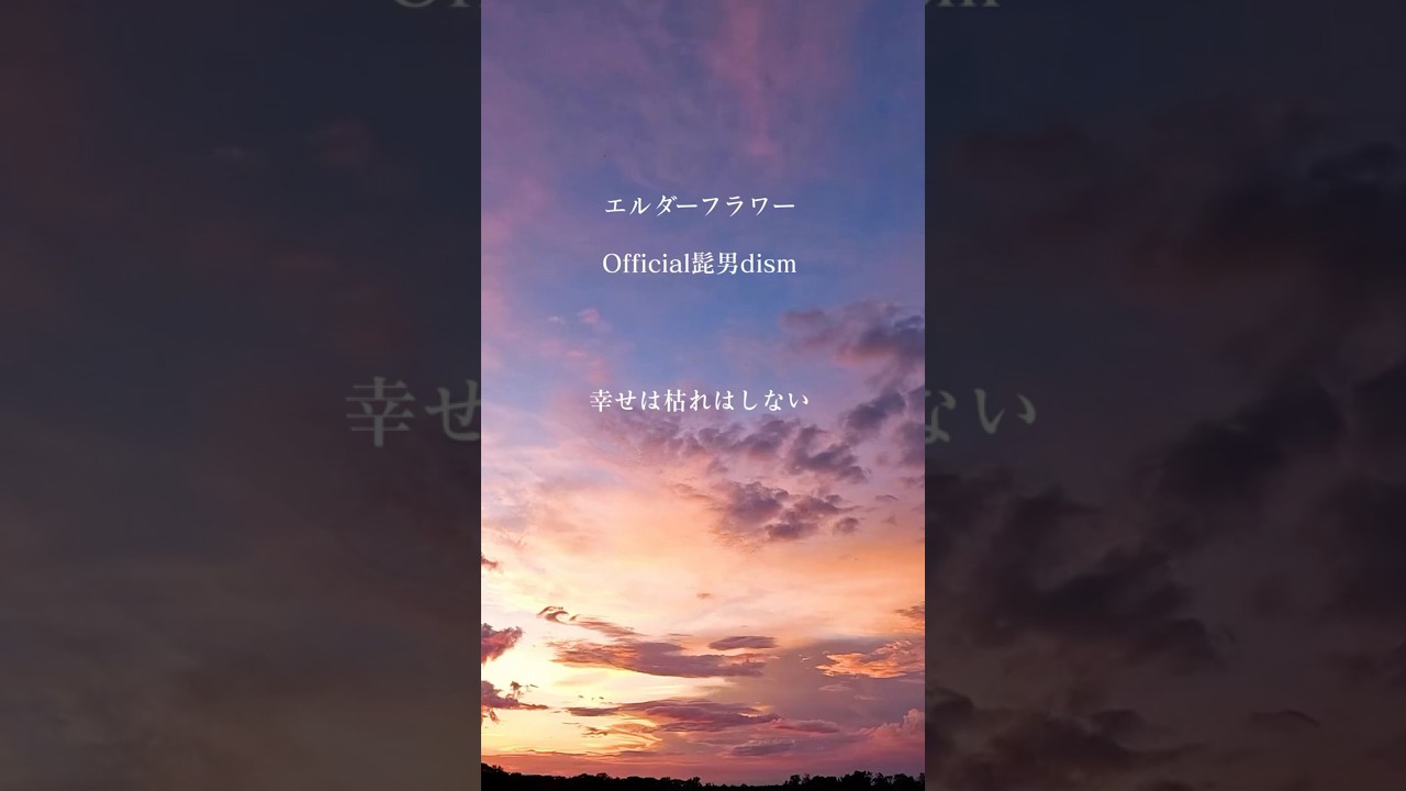 【新曲】髭男「エルダーフラワー」Covered by Double Bodies #エルダーフラワー #髭男 #人はなぜラブレターを書くのか #official髭男dism #shorts