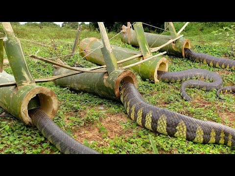 Video: 3 Mga paraan upang Mag-impake ng isang Bra