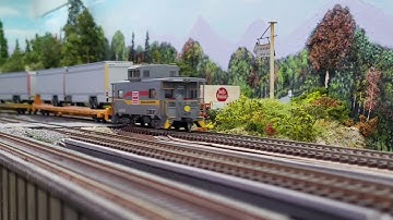 Seaboard System trailer train