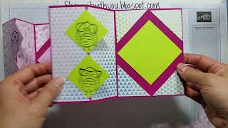 #117 VIDEO Birds Eye View Diamond fun fold card and tutorial