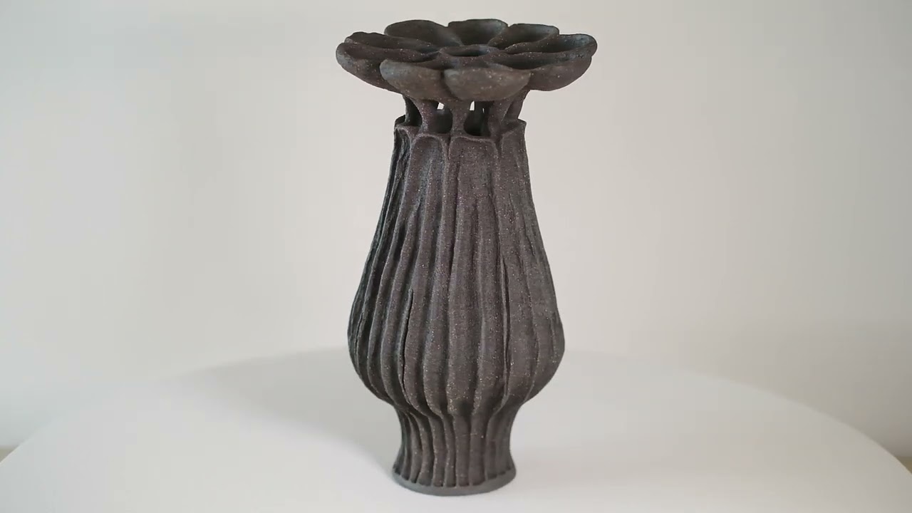 Black Poppyseed Capsule No 3 by Loren Kaplan