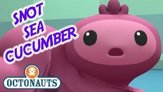 Octonauts - The Snot Sea Cucumber | Series 1 | Full Episode | Cartoons for Kids