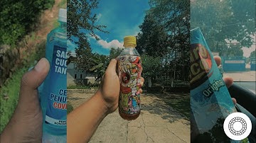 Soft Warm Color | Disposable Camera Effect VSCO