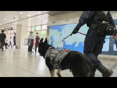 サミット開催 地元にはどんな経済効果が？「G7広島サミット」7年前は三重の伊勢志摩サミットで日本酒や「食」が話題 コロナ禍前は観光客数・消費額が過去最高に