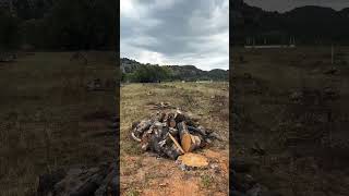 Desmonte de Huerta de Manzana entre acantilados #mexico #apple #orchard #huerta #chihuahua