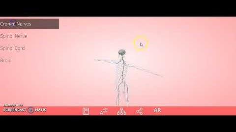 SCIENCE 7 QUARTER 2 MODULE 2: LEVELS OF ORGANIZATION IN AN ORGANISM