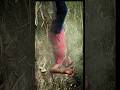#vedic #sad #funny #love