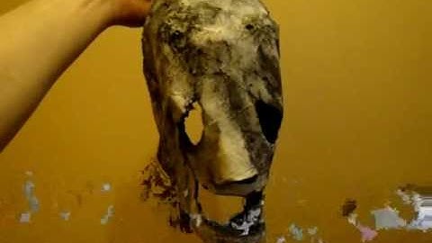 Random Unfinished Corey Taylor Self Titled Mask