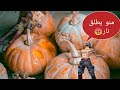 FreeFire تقدر تطلق نار من وراء الجدار اقسم بالله غليتش خطيير FreeFire تقدر تطلق نار من وراء الجدار اقسم بالله غليتش خطيير