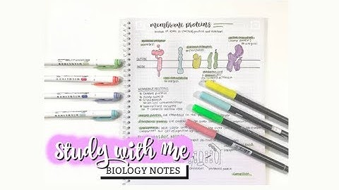 STUDY WITH ME: HOW I WRITE MY IB BIOLOGY NOTES | studycollab: alicia