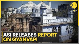 ASI report on Gyanvapi mosque: 55 Hindu deity sculptures found in mosque | India News | WION