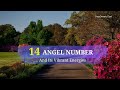 14 Angel Number And Its Vibrant Energies