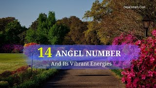 14 Angel Number And Its Vibrant Energies
