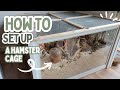 How to actually set up your hamsters cage