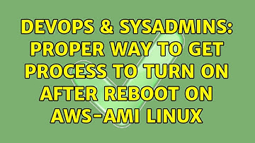 DevOps & SysAdmins: Proper way to get process to turn on after reboot on AWS-AMI linux