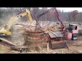 Dangerous huge wood shredder crusher equipment working amazing fast wood chipper destroyer machines