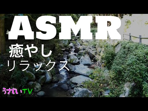 ASMR ( Mountain Stream - Relaxing Nature Sounds) 渓流の音 【音フェチ】