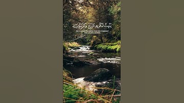 سورة النحل - ياسر الدوسري