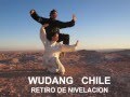 Retiro nivelacion wudang chile 2016