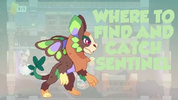 Where to FIND and CATCH the pet SENTINEL in Prodigy