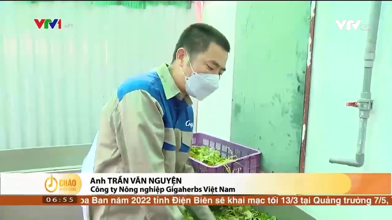 Việt Nam thức giấc VTV1 - GiGa Herb