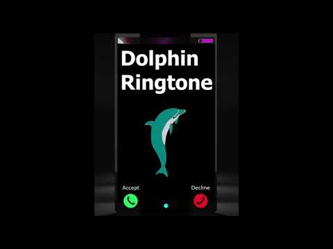 Dolphin api