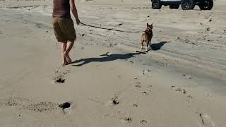 Titan goes to the Beach