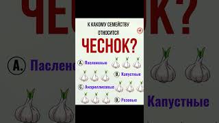 🧄🌿 К какому семейству относится чеснок? 🌿🧄 #травы #чеснок #лекарственныерастения #здоровье