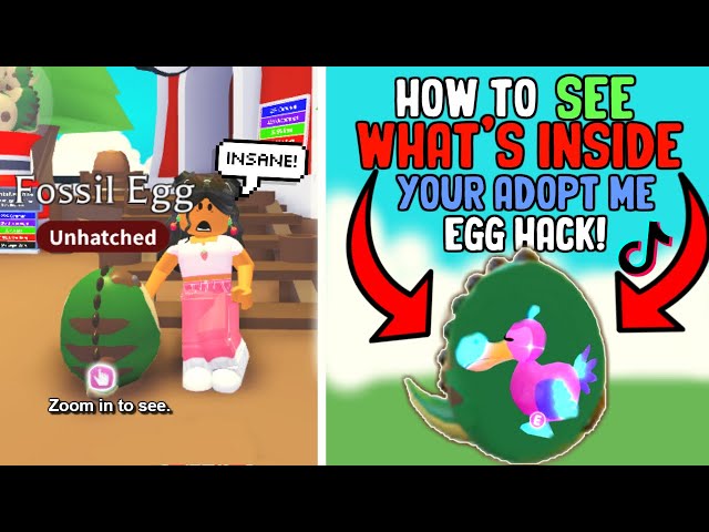 how to use the star egg in adopt me｜TikTok Search