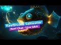 ReefDudes Saltwater Reef - Live Q&A