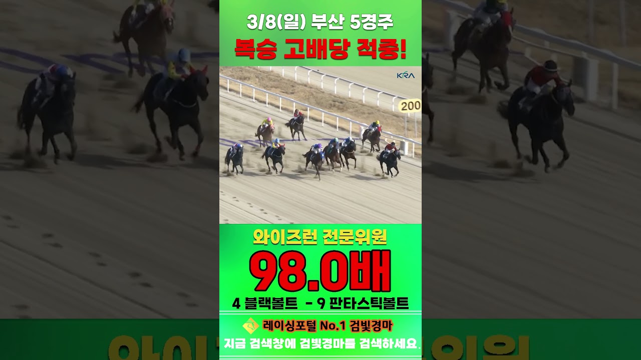 [부산 경마] 3월 8일 일요 5경주 와이즈런 전문위원 복승 고배당 적중 #경마 #horse #하이라이트 #automobile #한국마사회 #비트코인 #horseracing #뉴스