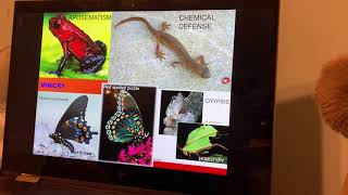 Community Ecology Part 1