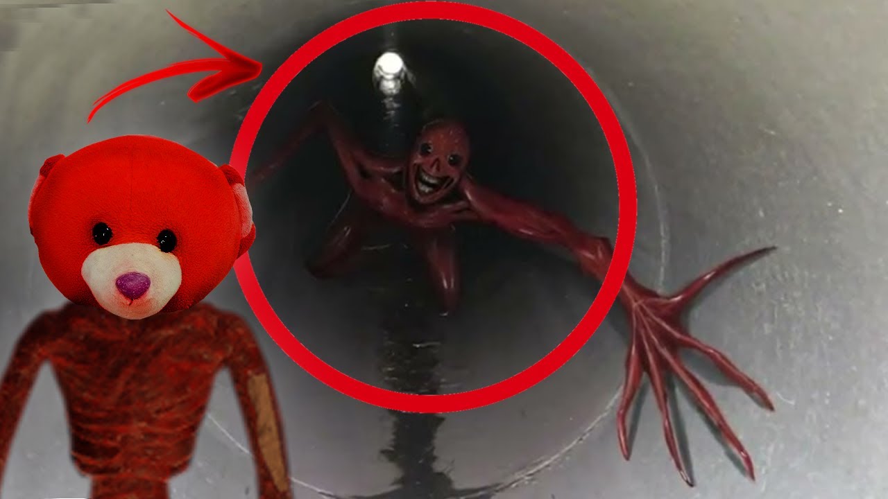 VOCÊ TEM MEDO DO VITA CARNIS? Pois deveria...