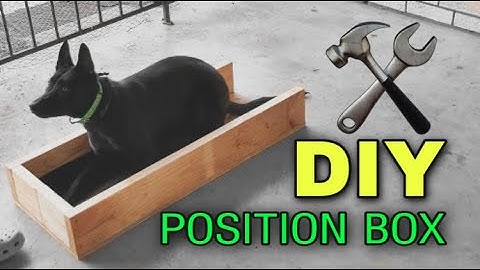 How to Make a Position Box. Dog Training