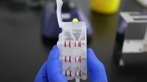 AIGS Automatic Integrated Gene Detection System PetReady S operation video