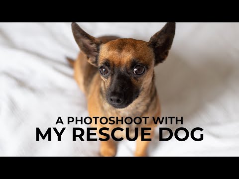 A photoshoot with